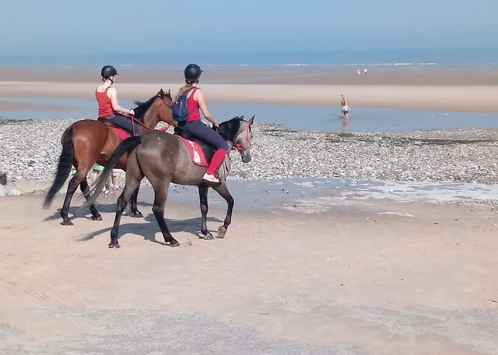 Апартаменты Les Hortensias