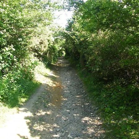 Les Hortensias * Sangatte